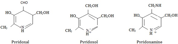 vitamin B6 group pyridoxal and pyirdoxal and pyridoxamine